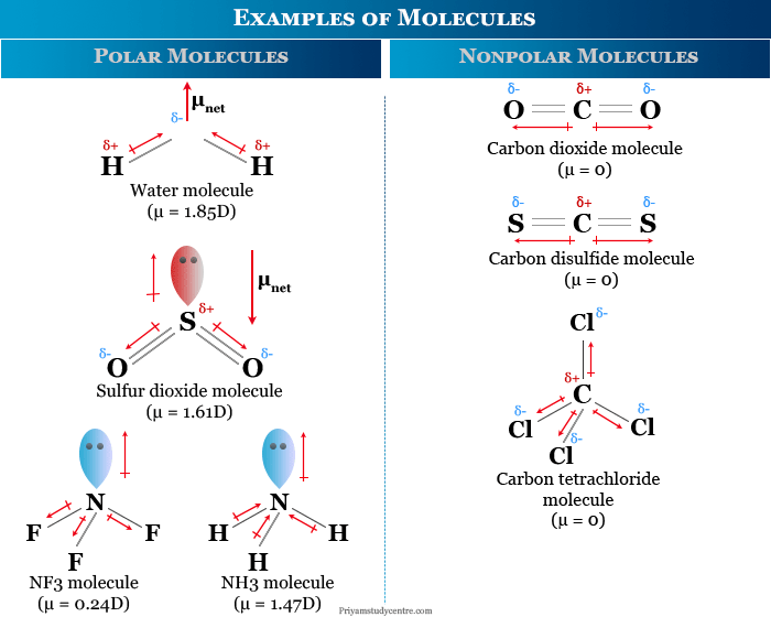 Chemistry Program